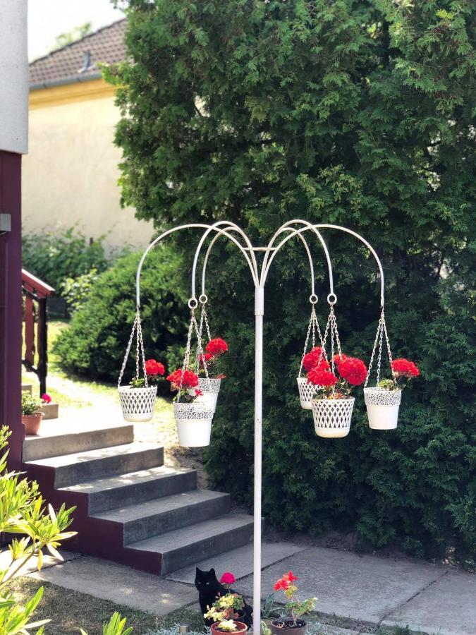 Major Csalad Apartman Hévíz Dış mekan fotoğraf